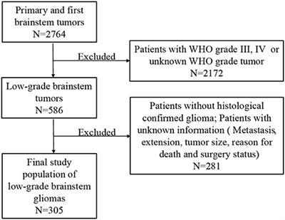 The Epidemiological Characteristics and Prognostic Factors of Low-Grade Brainstem Glioma: A Real-World Study of Pediatric and Adult Patients